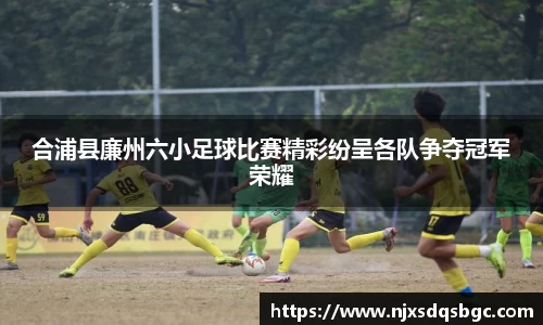 合浦县廉州六小足球比赛精彩纷呈各队争夺冠军荣耀
