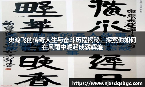 史鸿飞的传奇人生与奋斗历程揭秘，探索他如何在风雨中崛起成就辉煌